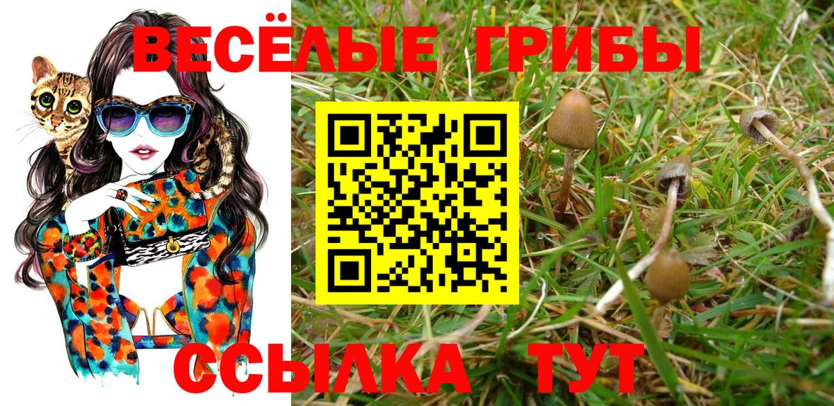 Миасс  Псилоцибиновые грибы Magic Shrooms  Вход с VPN 